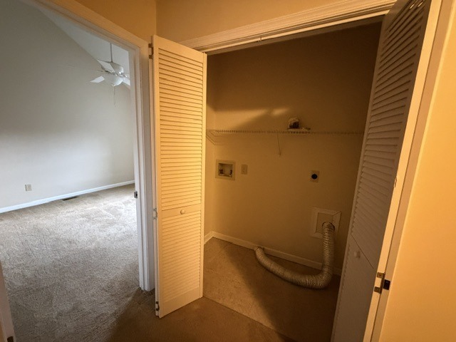 Gallery Photo 11